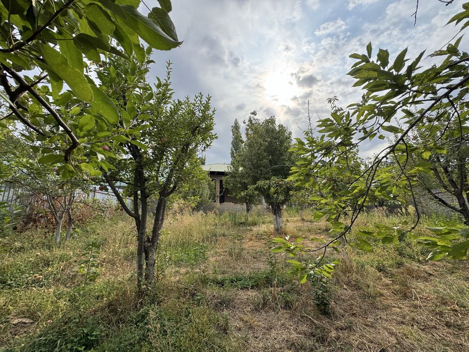 Dacha sotiladi 10 sutix