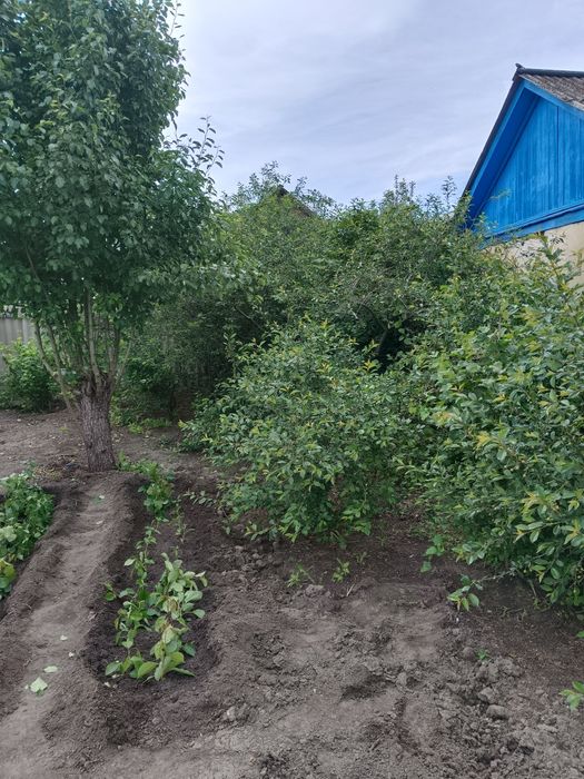 Продам дачу зимний вариант