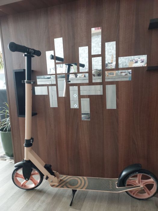 Trotineta pliable CYGNUS