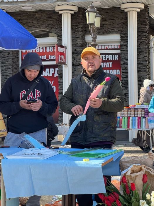 Тюльпаны оптом и в розницу