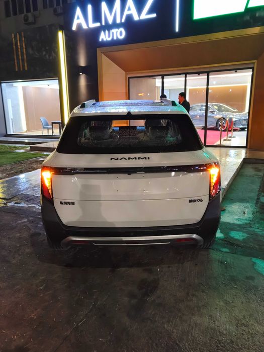 Dongfeng Nammi 06