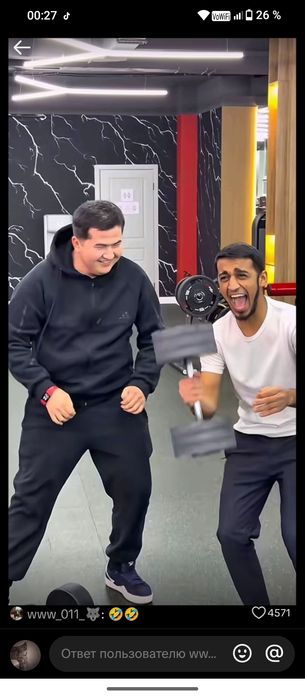 Kston велосипед.