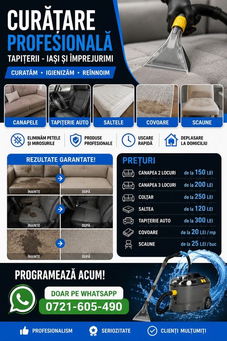 Curatare profesionala