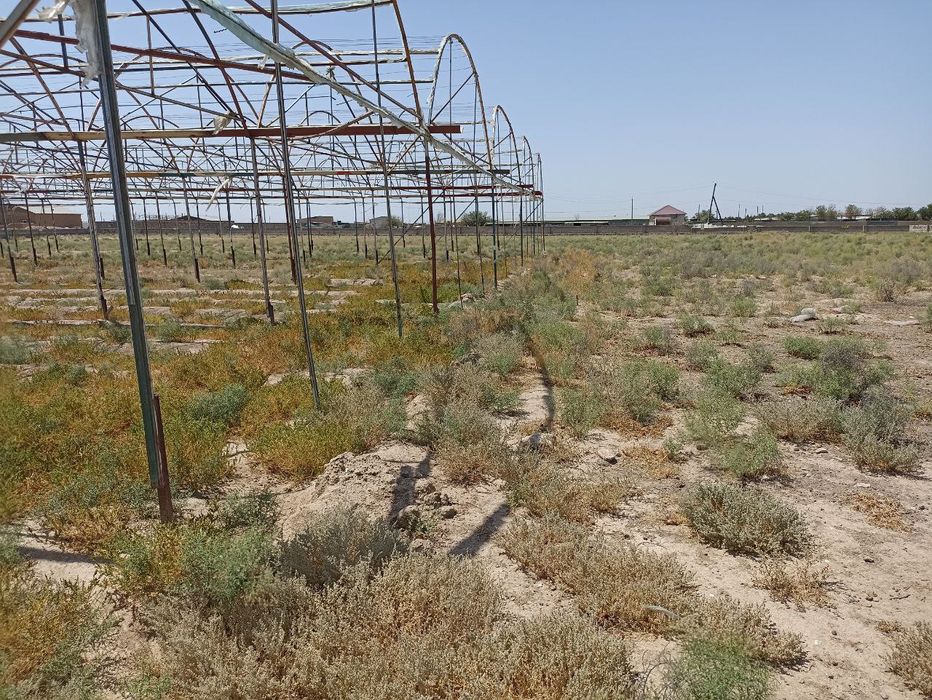 Yer maydoni sotiladi