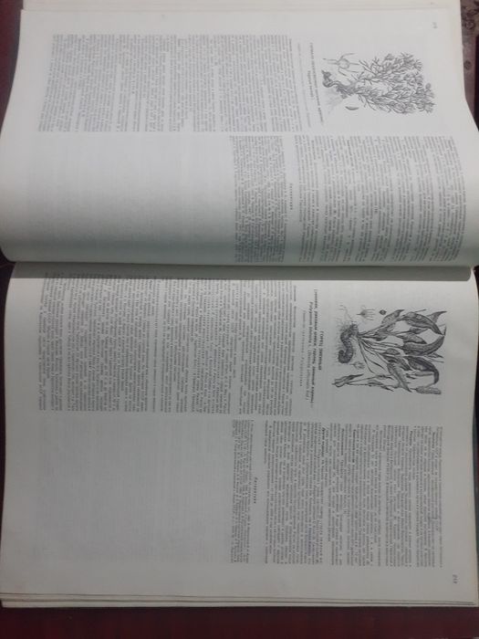 Атлас ареалов и ресурсов лекарственных растений СССР