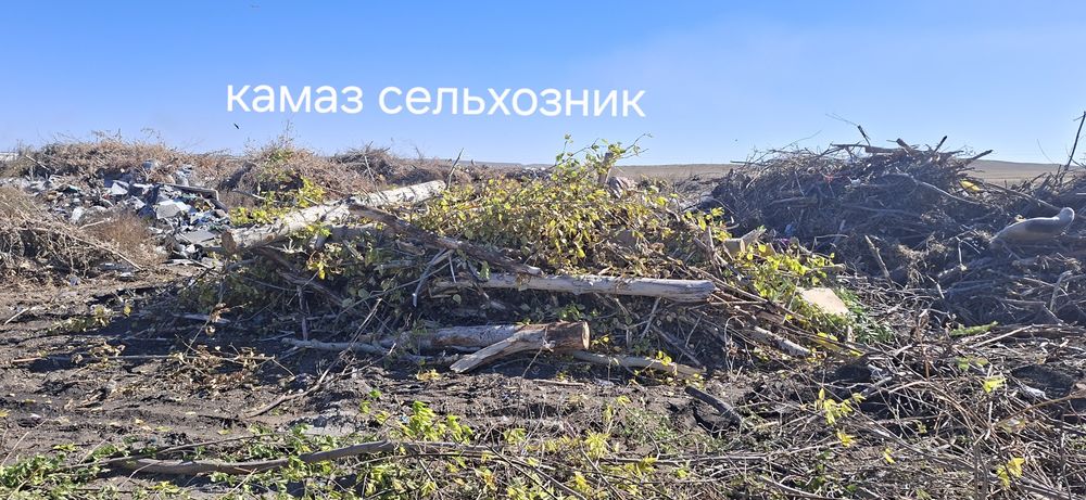 Вывоз мусора. Веток, деревья