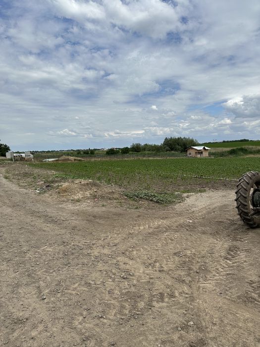 Teren Extravilan/ Prelungire str.Bradului, 850 m intravilan sat Costi