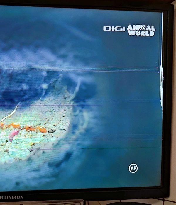 Tv SMART LED Wellington  80cm  - ecran  defect