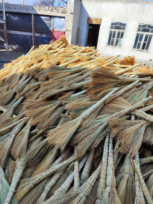 Supurgi venike optom