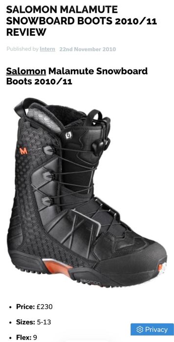 Boots Salomon Malamute