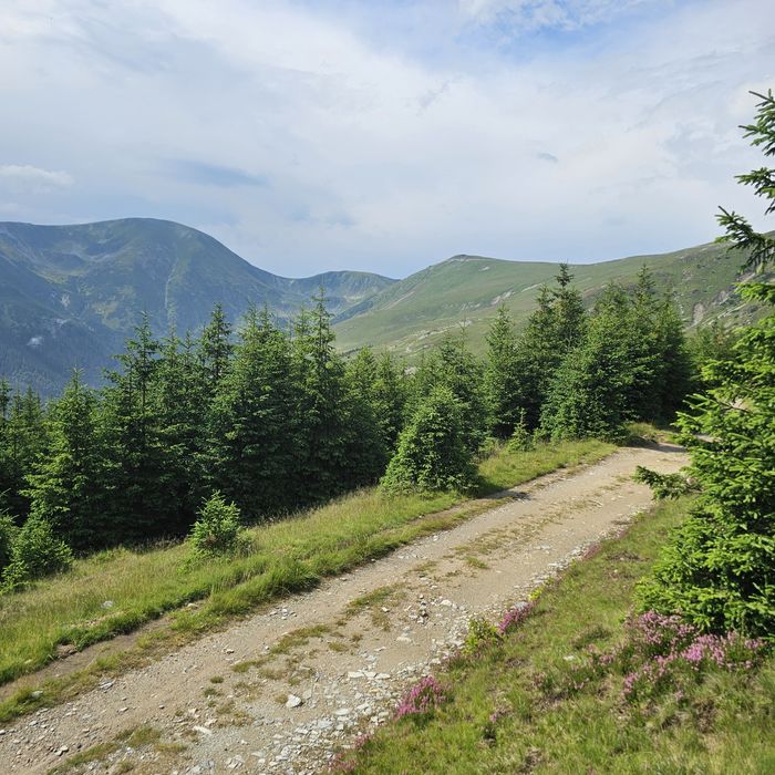 Teren Rânca Novaci
