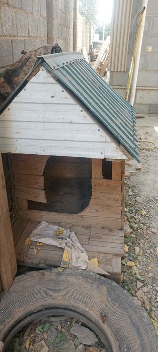 Домик для собаки, будка для собаки.