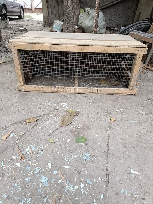 Ящик для перепелов