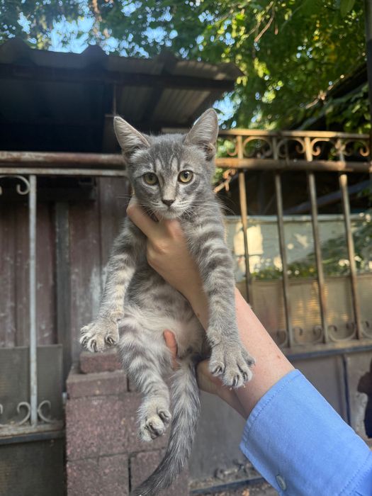 Малышка ищет любящий дом