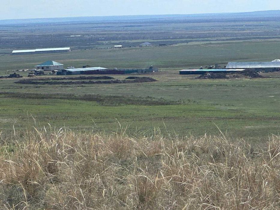 Продам крестьянское хозяйство
