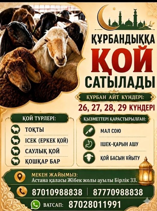 Қой бар Құрбан айтқа