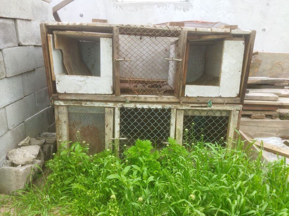 Клетки для животных