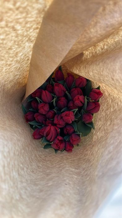 Тюльпаны голландские 350тг