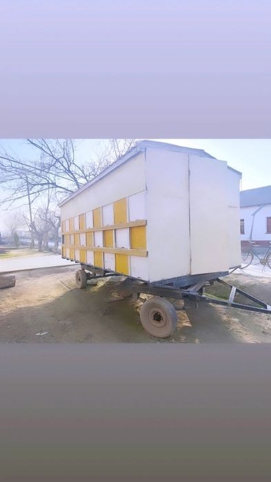 Асал ари павилони