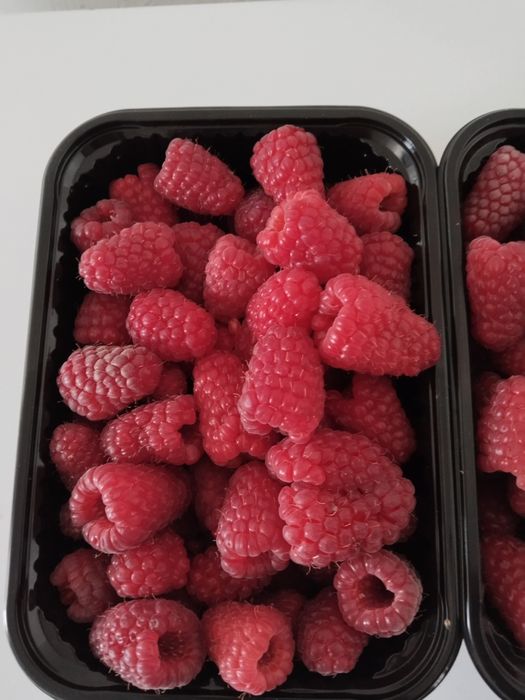 Малина сорт ПШЕХИБА крупный сорт