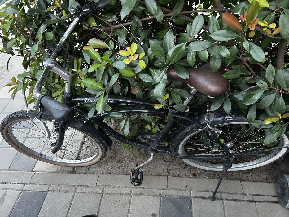 Bicicleta clasica