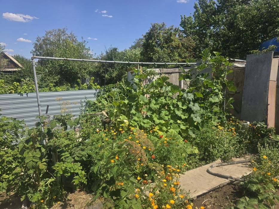 Продам дачу Медьзавод