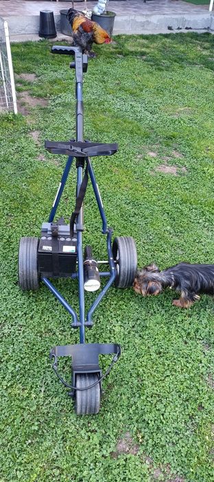 Căruț golf electric.