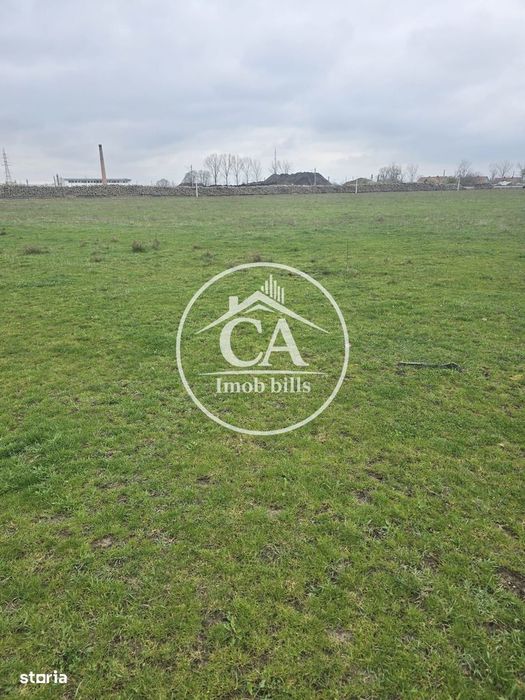 Teren extravilan 150.000 mp de vânzare in Tileagd, Bihor