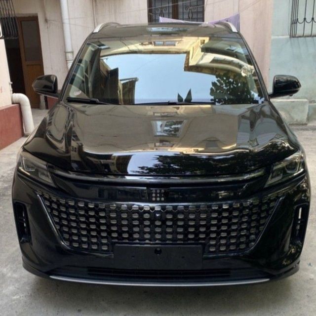 2024 Don Fengon gibrit