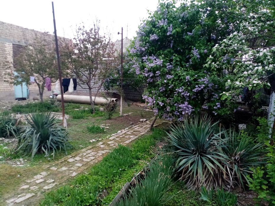 Срочно сотилади. Участка без маклер.