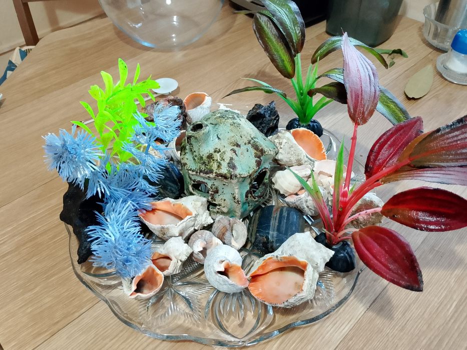 Дъно за аквариум