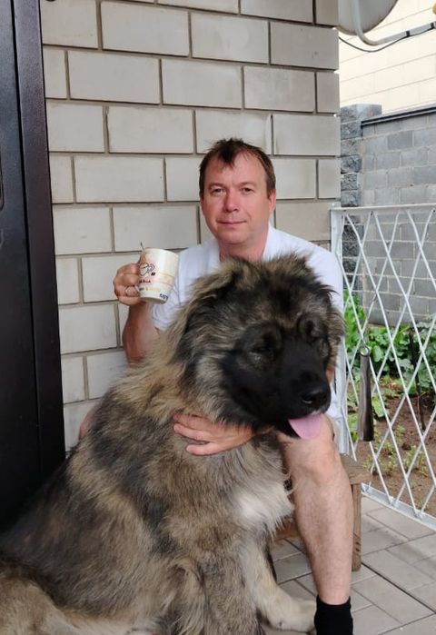 Кавказская овчарка