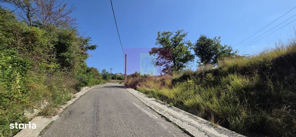 Teren intravilan 4.029 mp de vanzare, zona Crama Seciu