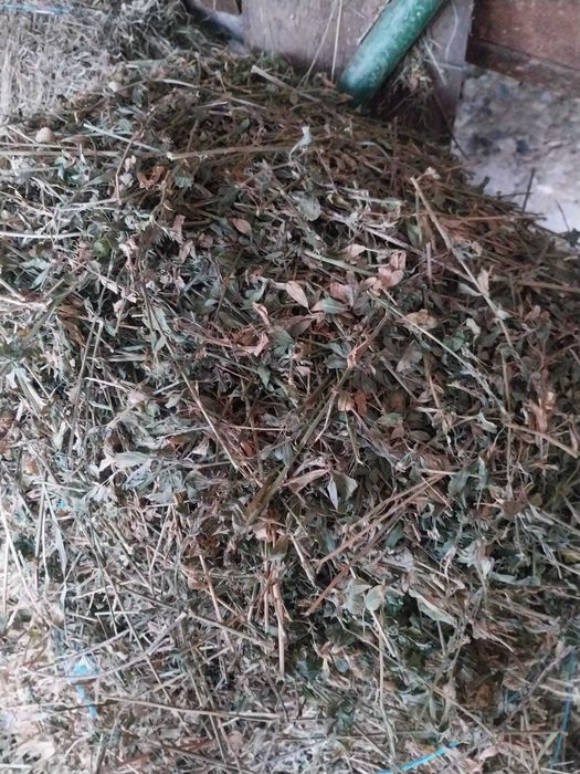 Vand baloti de lucernă si otava