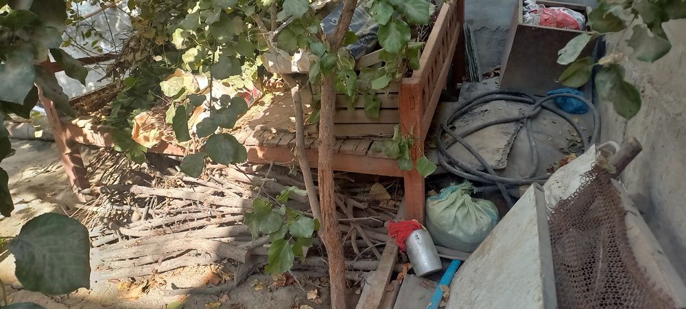 Quruq o'tin sotiladi