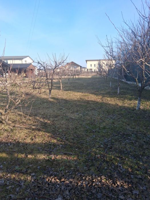 Casa individuala Valea Lupului Iasi