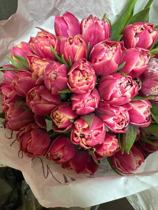 Премиальные тюльпаны