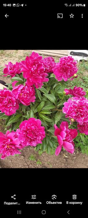 Продам дачу, келещек, геолог 3