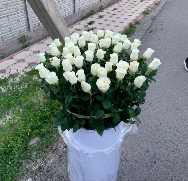 Гигант коробки для цветы Астана