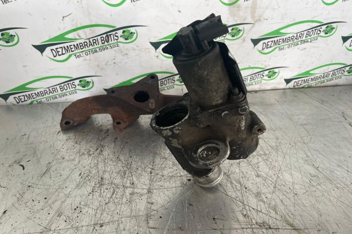 Egr 8200391624 Dacia Logan prima generatie