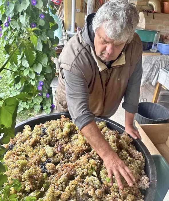 Vand Struguri de Vin