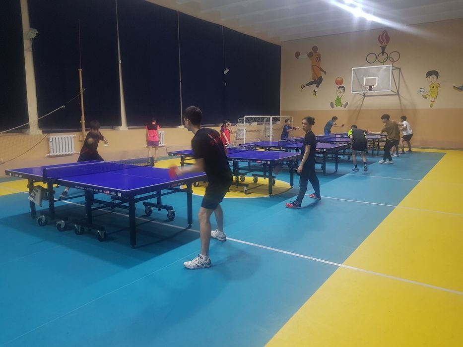 Настольный теннис. Групповые и индивидуальные занятия
