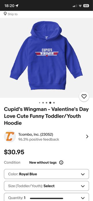 Hanorac Wingman Obscene Clothing