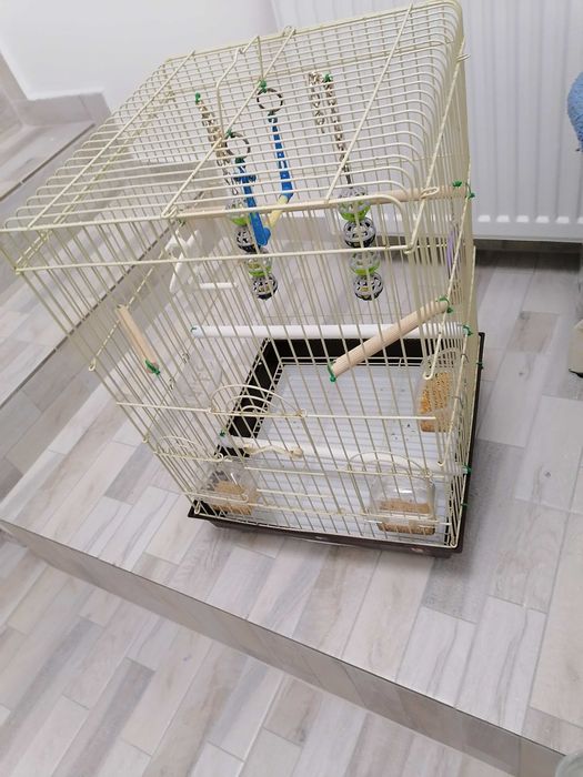 Colivie păsări XXL