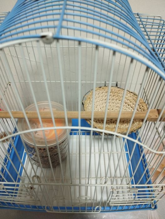 Продам клетку со всеми приложениями