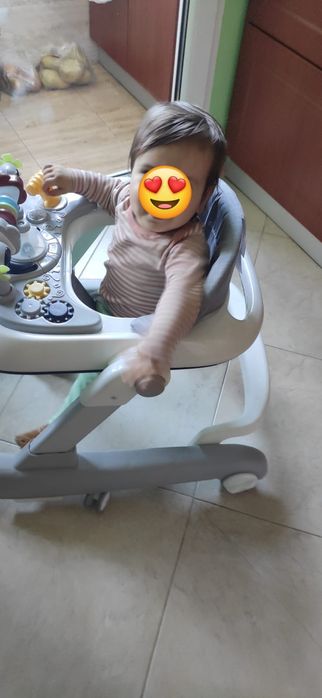 Проходилка(паяк)