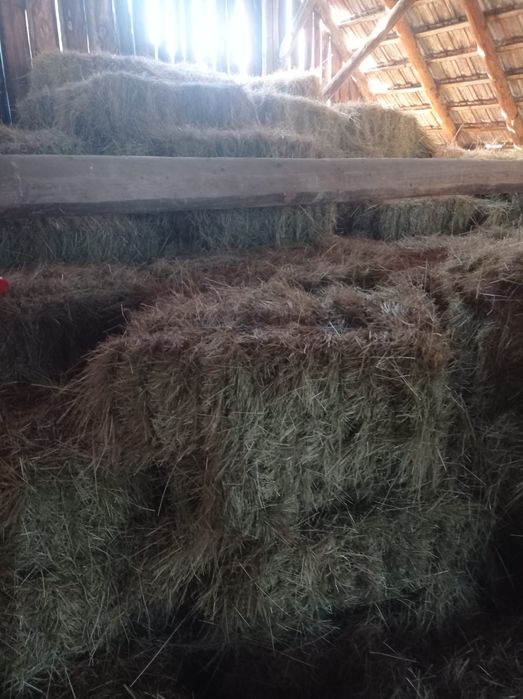 Baloți de fân , foarte buni