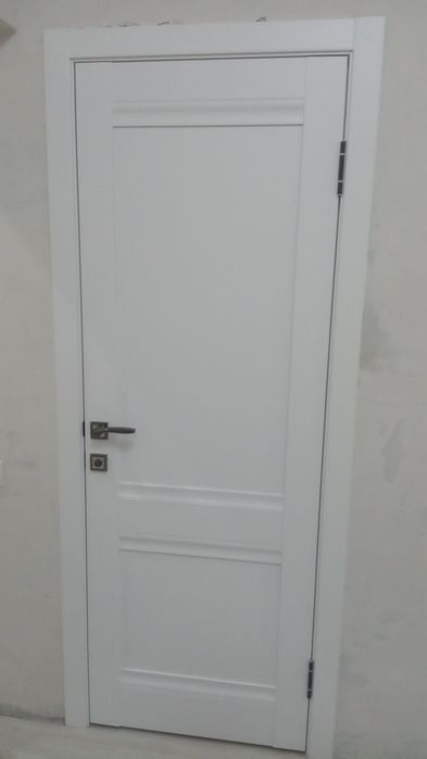 Установка дверей.