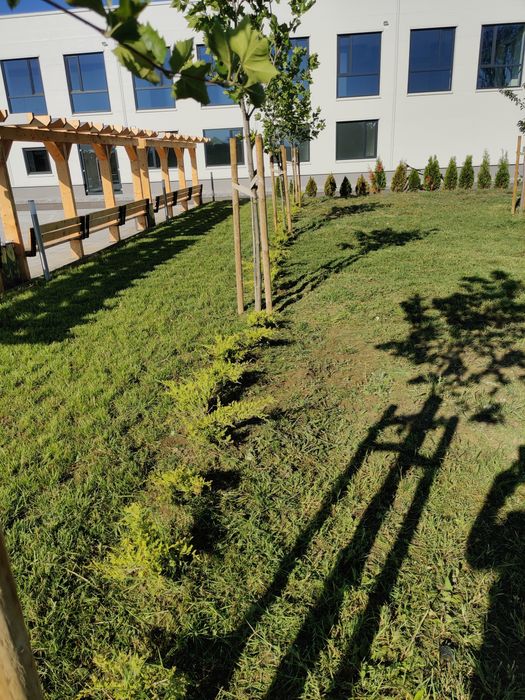 Професионално косене на трева и почистване на дворове