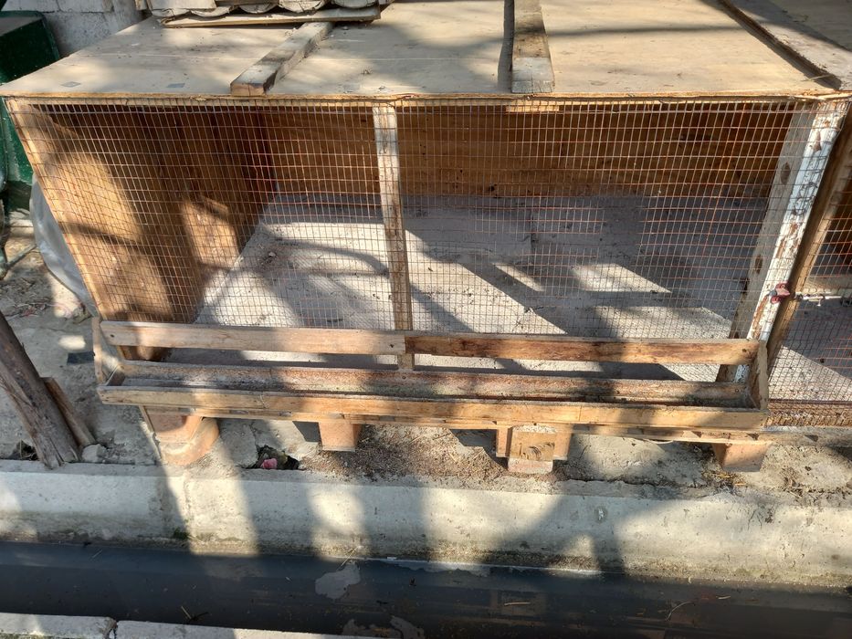 Tuvuq uchun katak sotiladi